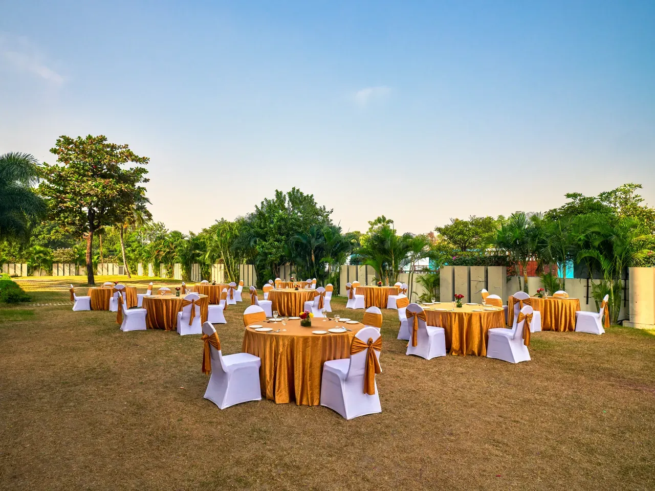 Vatika Lawn