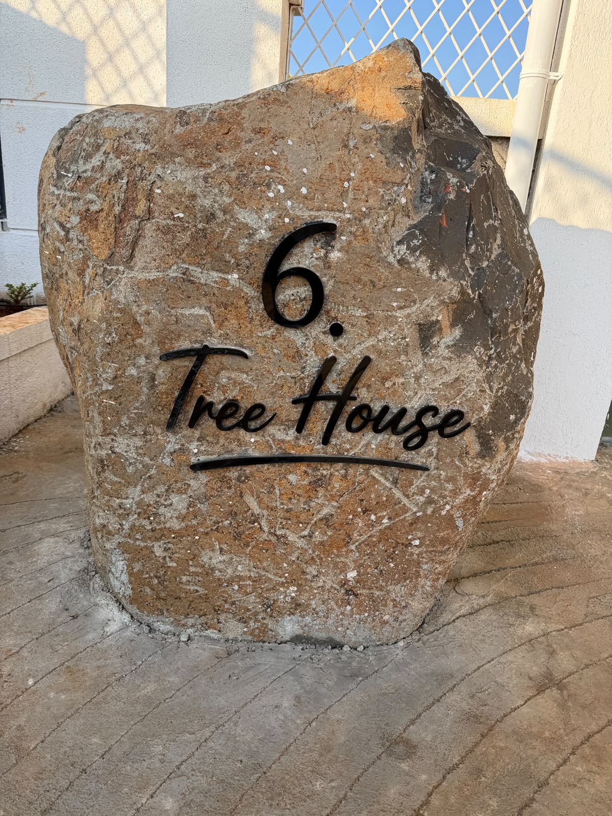 6, Tree House photo 2 thumbnail
